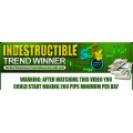 Indestructible Trend Winner with CPM Silver Yearbook